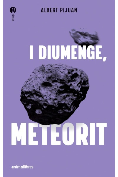 I DIUMENGE METEORIT