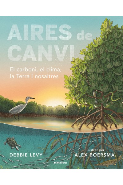 AIRES DE CANVI