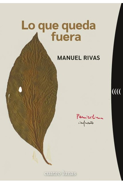 LO QUE QUEDA FUERA