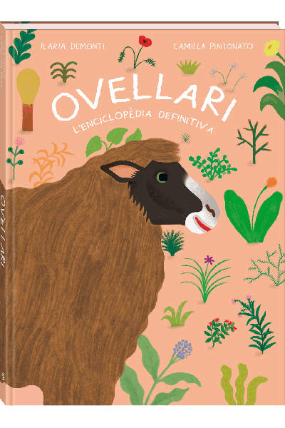 OVELLARI