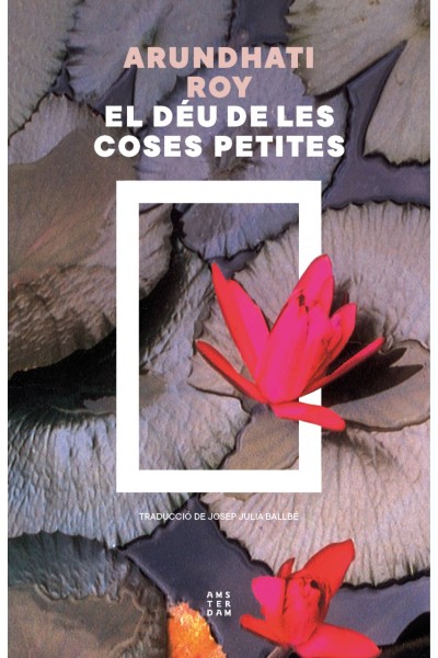 EL DÉU DE LES COSES PETITES