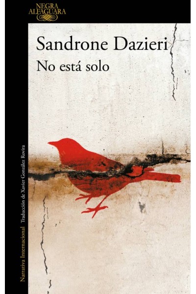 NO ESTÁ SOLO