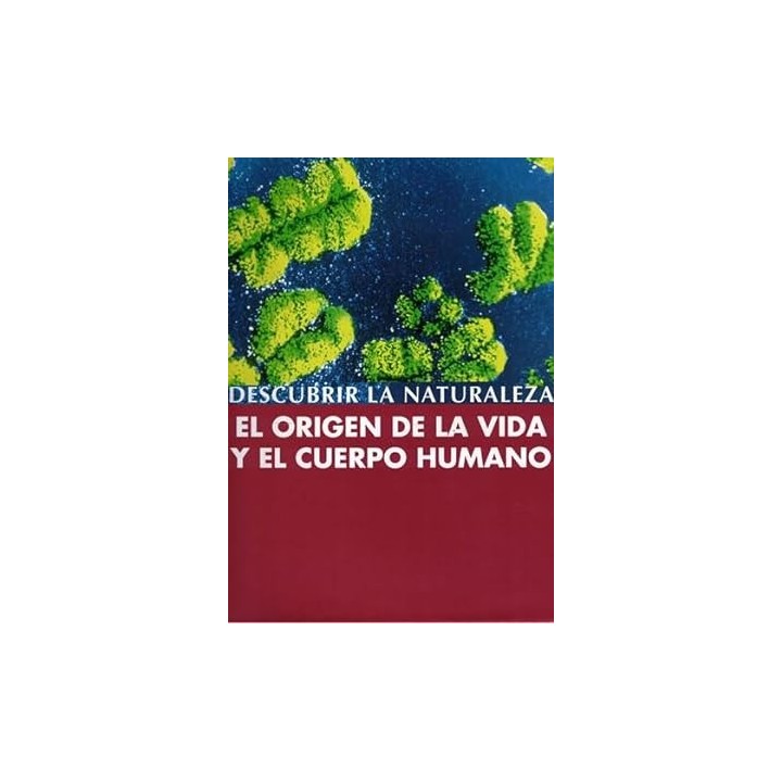 El origen de la vida y el cuerpo humano