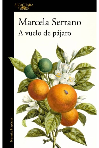 A VUELO DE PÁJARO