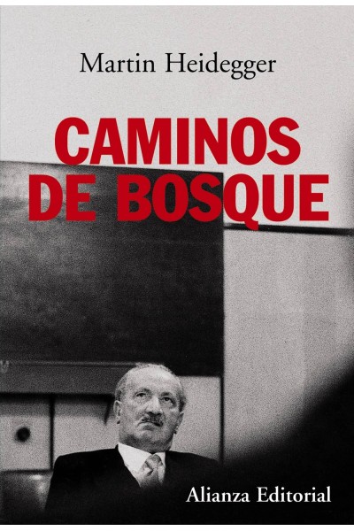CAMINOS DE BOSQUE.