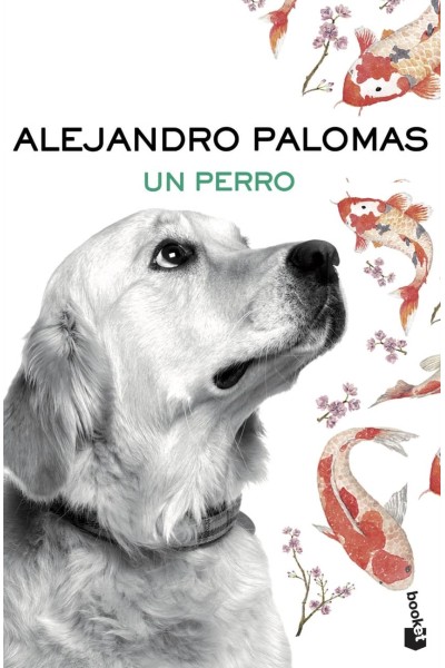 UN PERRO