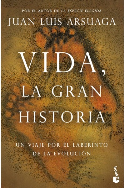 VIDA, LA GRAN HISTORIA