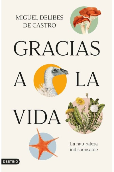 GRACIAS A LA VIDA