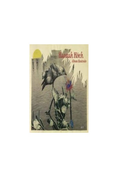 ALBUM ILUSTRADO