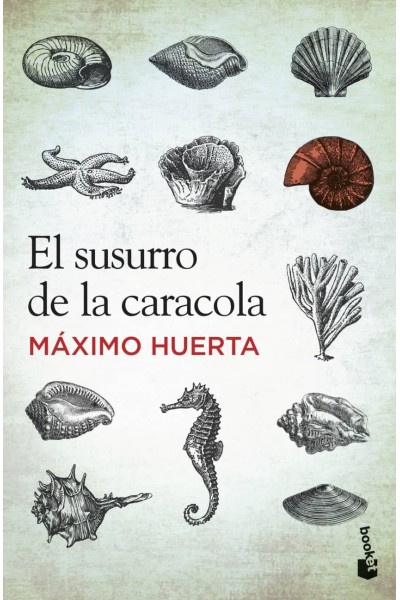 EL SUSURRO DE LA CARACOLA