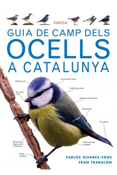 GUIA DE CAMP DELS OCELLS A CATALUNYA