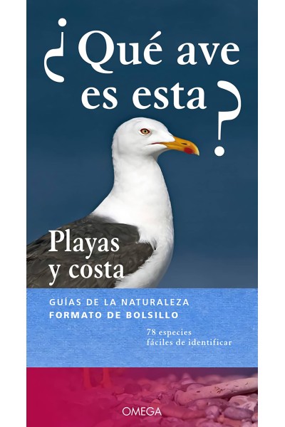 ¿QUÉ AVE ES ESTA?