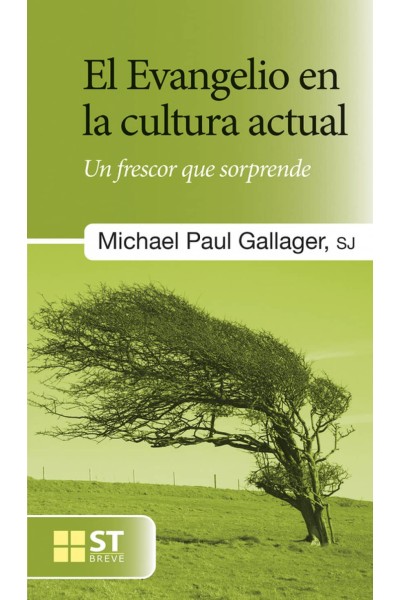 EL EVANGELIO EN LA CULTURA ACTUAL