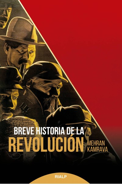BREVE HISTORIA DE LA REVOLUCIÓN
