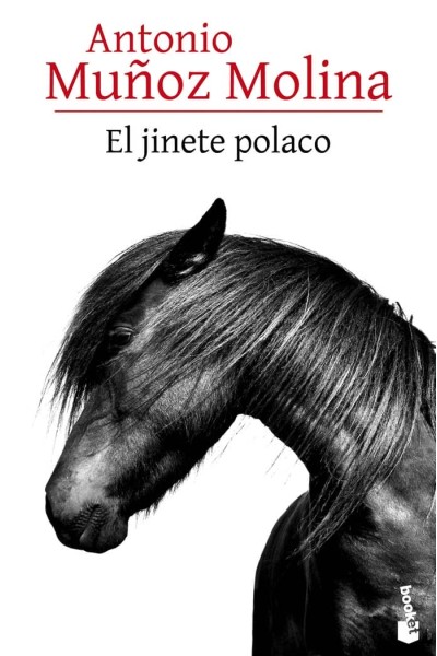 JINETE POLACO,EL