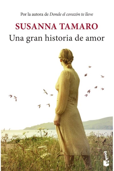UNA GRAN HISTORIA DE AMOR