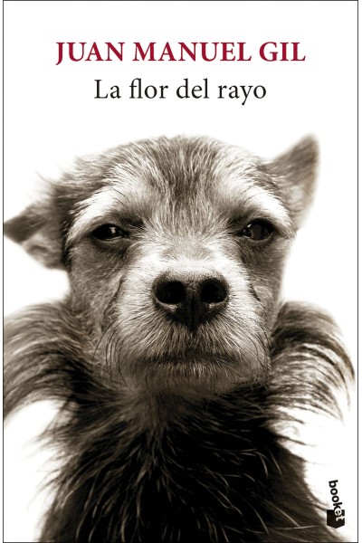 LA FLOR DEL RAYO