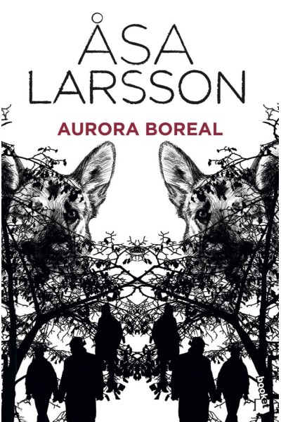 AURORA BOREAL