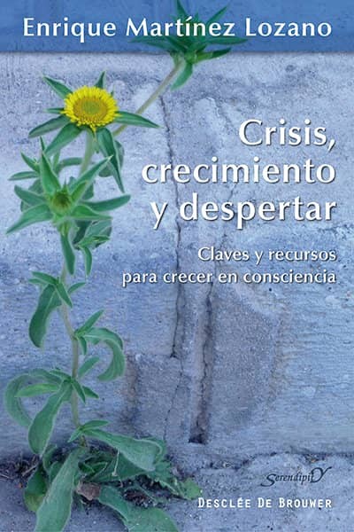 CRISIS CRECIMIENTO Y DESPERTAR