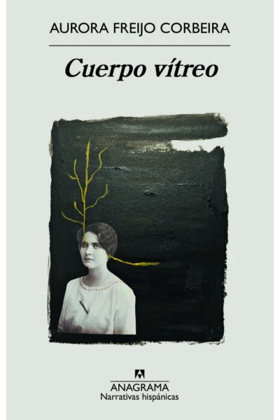 CUERPO VITREO