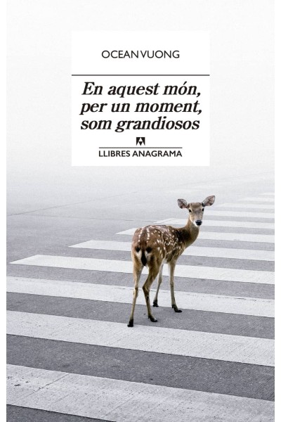 EN AQUEST MÓN, PER UN MOMENT, SOM GRANDIOSOS
