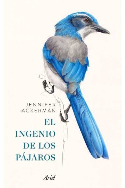 EL INGENIO DE LOS PÁJAROS