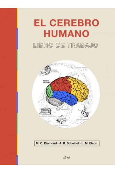 EL CEREBRO HUMANO