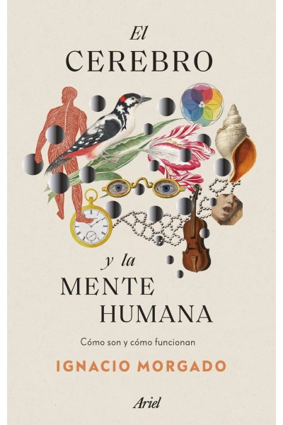 EL CEREBRO Y LA MENTE HUMANA