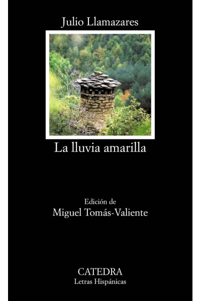 LA LLUVIA AMARILLA