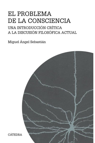 EL PROBLEMA DE LA CONSCIENCIA