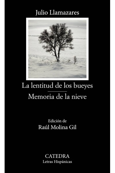LA LENTITUD DE LOS BUEYES; MEMORIA DE LA NIEVE