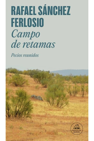 CAMPO DE RETAMAS