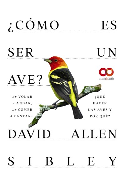 ¿CÓMO ES SER UN AVE? DE VOLAR A ANIDAR, DE COMER A CANTAR... ¿QUÉ HACEN LAS AVES Y POR QUÉ?