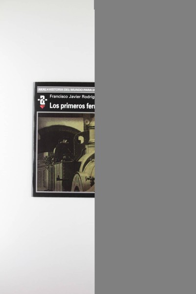 LOS PRIMEROS FERROCARRILES