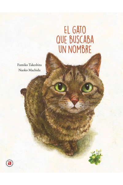 EL GATO QUE BUSCABA UN NOMBRE