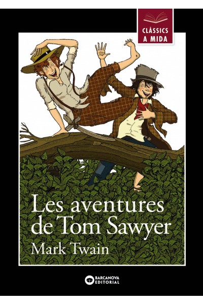 LES AVENTURES DE TOM SAWYER