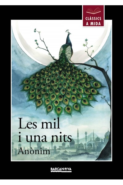 LES MIL I UNA NITS