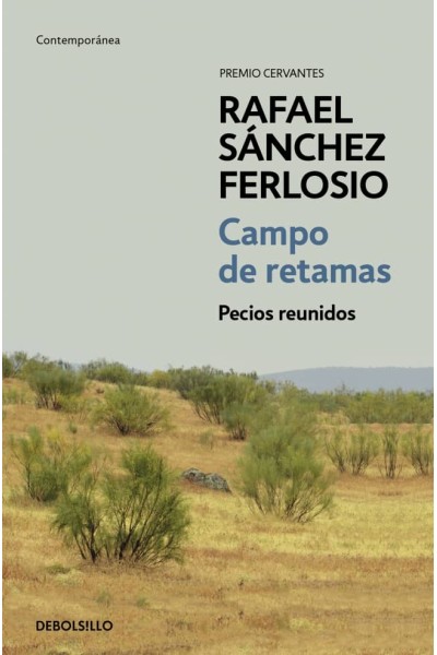 CAMPO DE RETAMAS