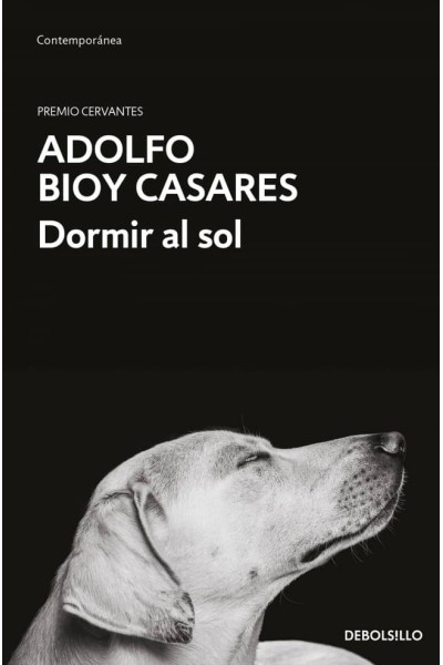 DORMIR AL SOL