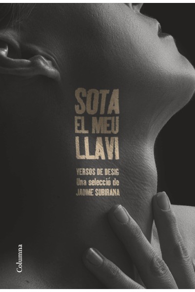 SOTA EL MEU LLAVI