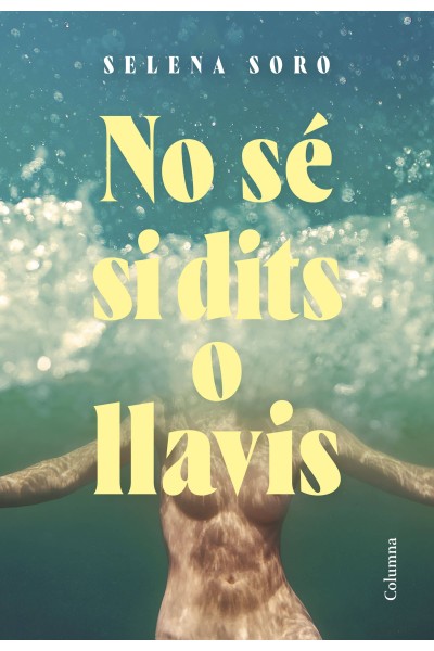 NO SÉ SI DITS O LLAVIS