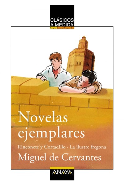 NOVELAS EJEMPLARES
