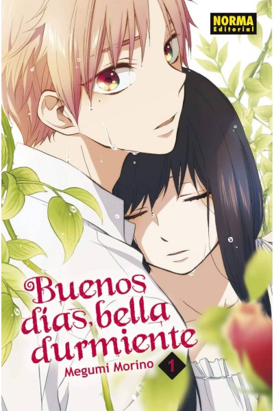 BUENOS DÍAS, BELLA DURMIENTE 1