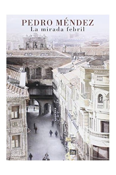 LA MIRADA FEBRIL.