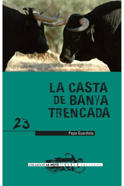 LA CASTA BANYA TRENCADA