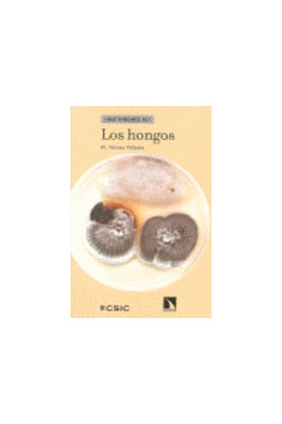 LOS HONGOS