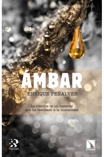 ÁMBAR