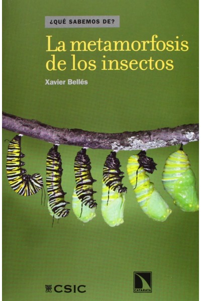 LA METAMORFOSIS DE LOS INSECTOS