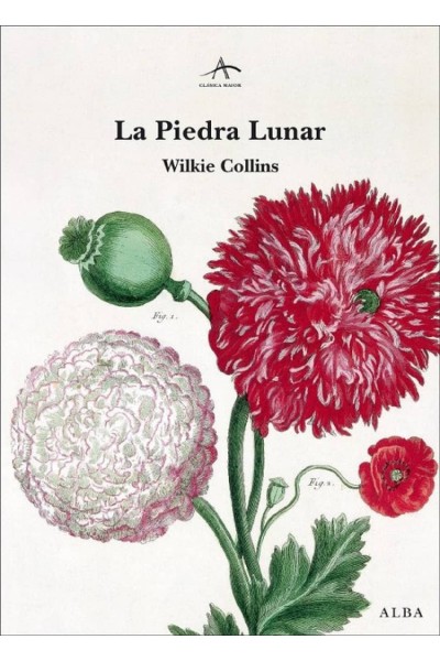 LA PIEDRA LUNAR