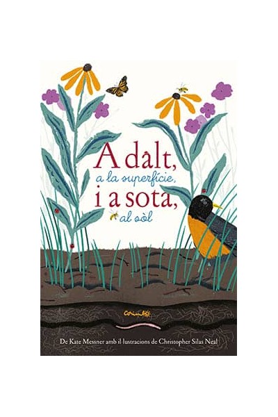 ADALT A LA SUPERFÍCIE I A SOTA AL SOL